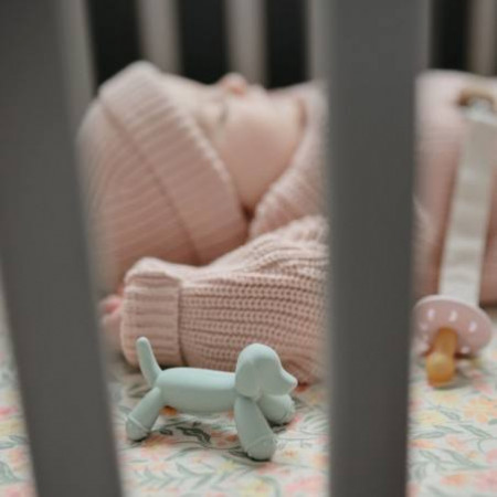 MORDEDOR ANIMAL SILICONA MUSHIE