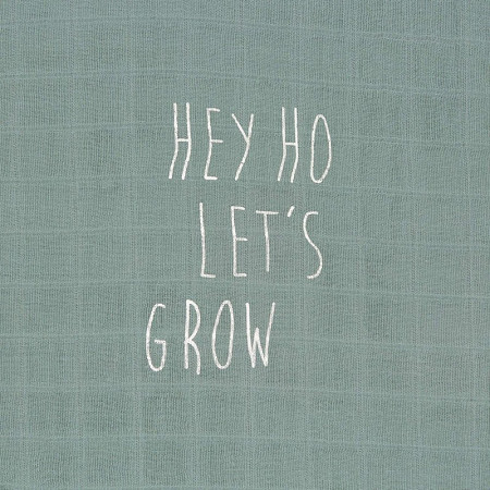 MUSELINA (PACK 2) LASSIG