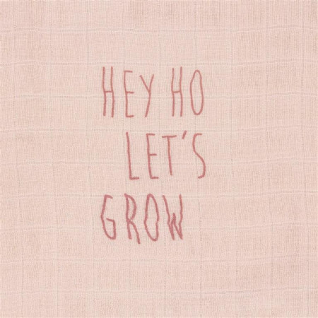 MUSELINA (PACK 2) LASSIG