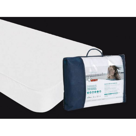 PROTECTOR DERMIS 60 MOSHY