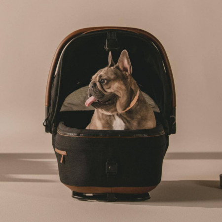 SISTEMA DE TRANSPORTE EN COCHE PARA MASCOTA MAEVE TAVO