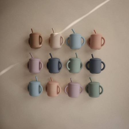 TAZA DIDÁCTICA+PAJITA SILICONA