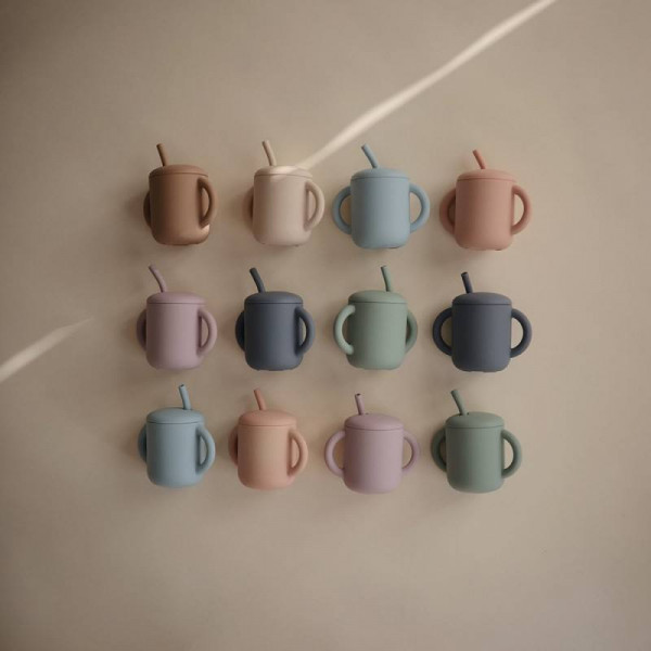 TAZA DIDÁCTICA+PAJITA SILICONA