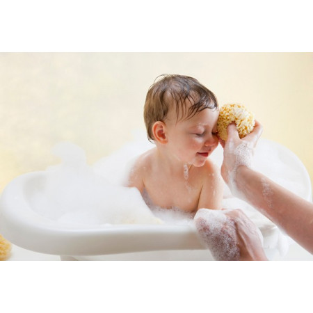 ESPONJA NATURAL FINA DAMA N10