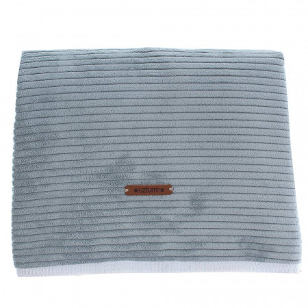 CAMBIADOR PANA UZTURRE