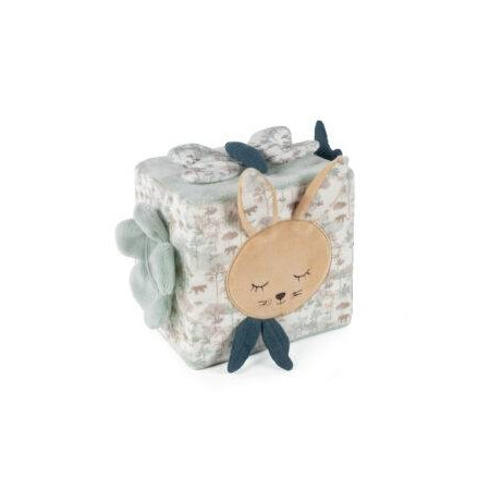 CUBO ACTIVIDADES PASITO A PASITO