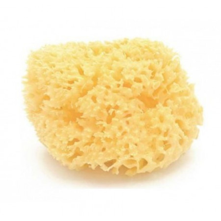 ESPONJA NATURAL ARCHIPIELAGO DAMA N14