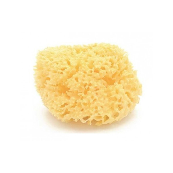 ESPONJA NATURAL ARCHIPIELAGO DAMA N12