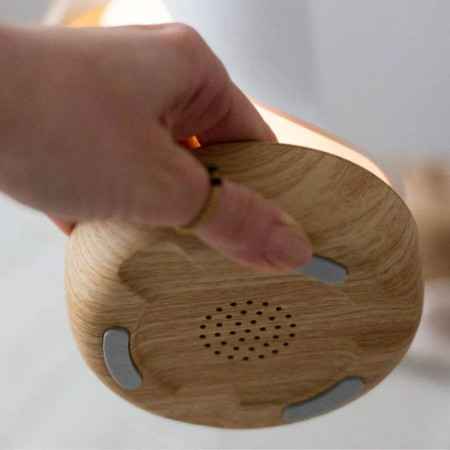 LAMPARA CON ALTAVOZ PAJARO