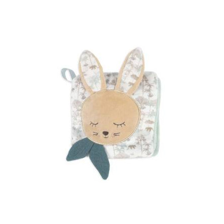 LIBRO ACTIVIDADES PASITOA PASITO